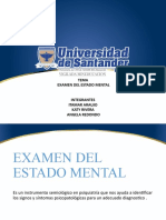 Examen Mental Introduccion