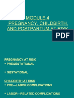 Pregnancy, Childbirth, and Postpartum at Risk