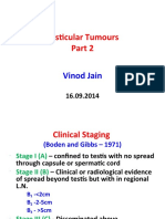 Testicular Tumours Treatment Protocols