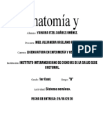 Anatomía y Fisiología: Alumno