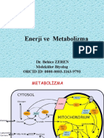 Enerji Ve Metabolizma Dr. Behice ZEREN