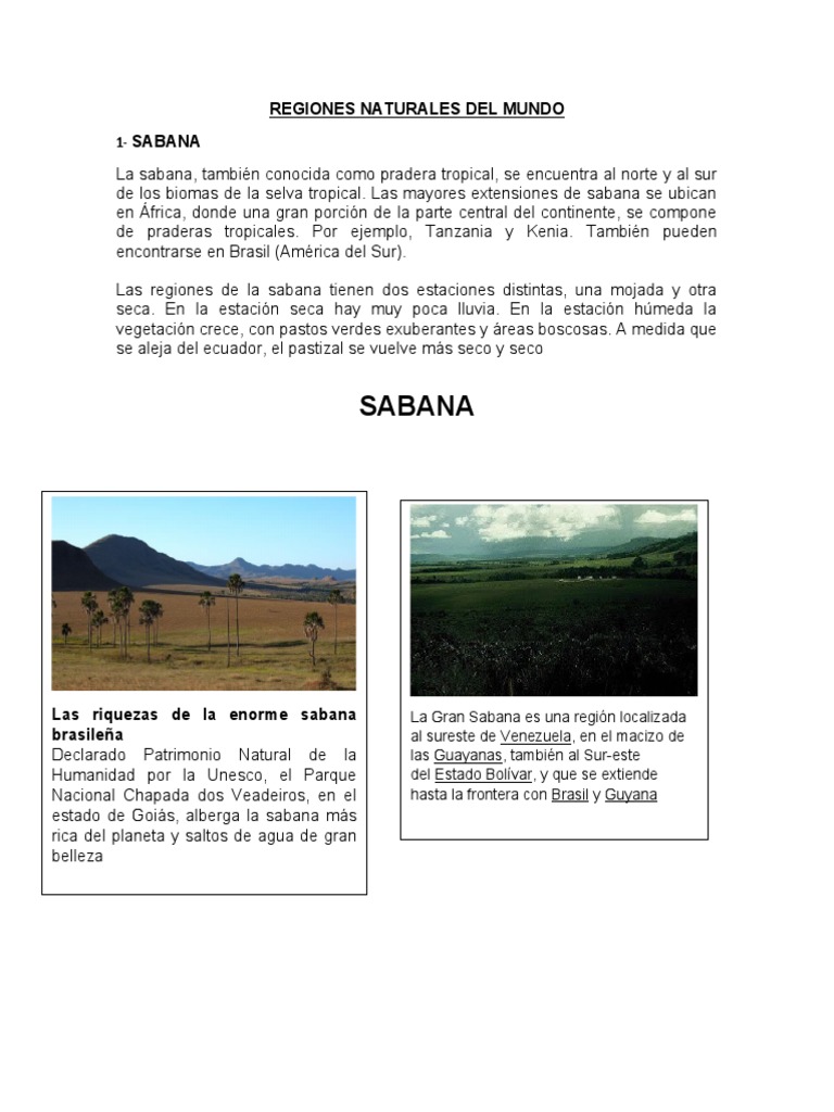 Regiones Naturales del Mundo | PDF | Desierto | Selva