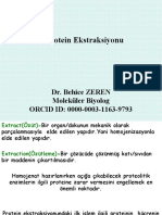 Protein Ekstraksiyonu Dr. Behice ZEREN