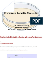 Proteinlerin Katalitik Stratejileri Dr. Behice ZEREN
