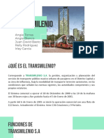 TRANSMILENIO.pdf