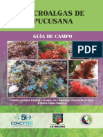 Arakaki Et Al 2019 MACROALGAS - DE - PUCUSANA - GUIA - DE - CAMPO PDF