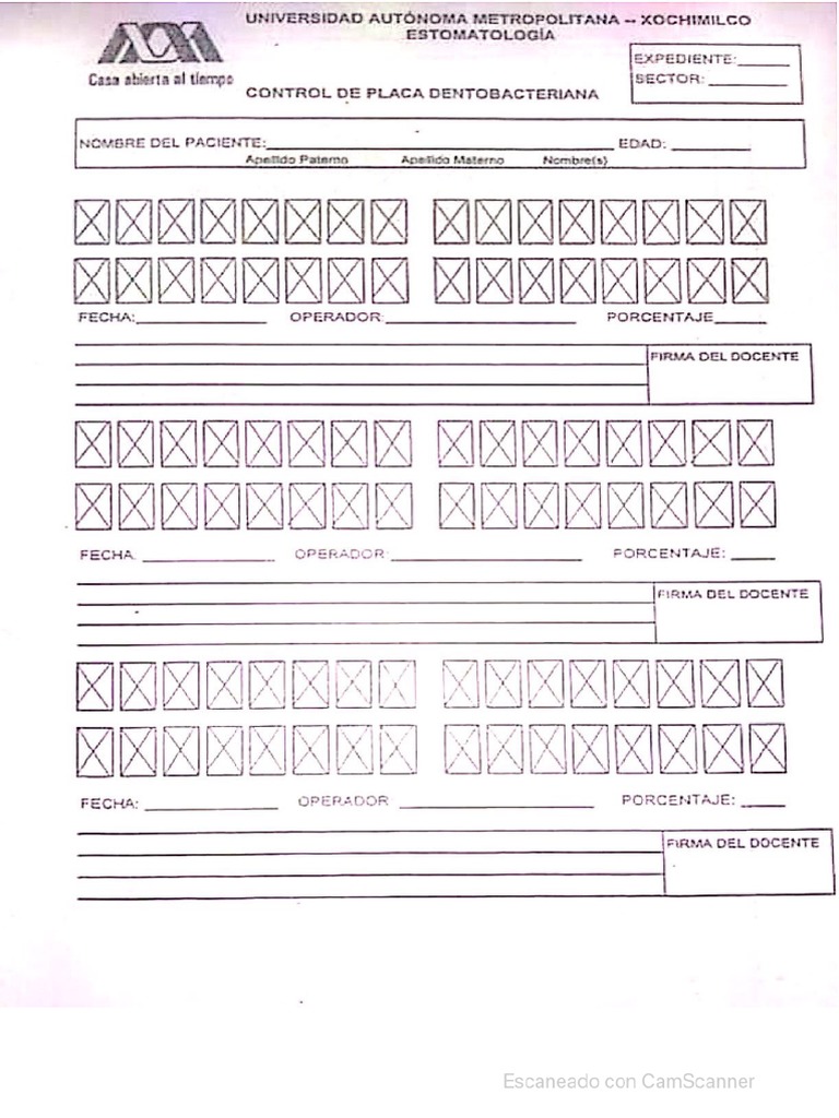 Formato Indice Oleary 2 Pdf