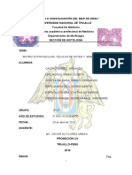 Informe 4 Tejido Conjuntivo