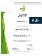 Diploma 301368 20200917 PDF