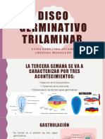 Disco-germinativo-trilaminar3