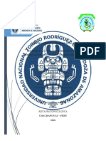 Informe de Restauración Ley 29763