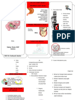 leafletmaag-150226095604-conversion-gate02.docx