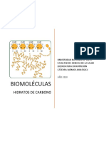 Hidratos de Carbono