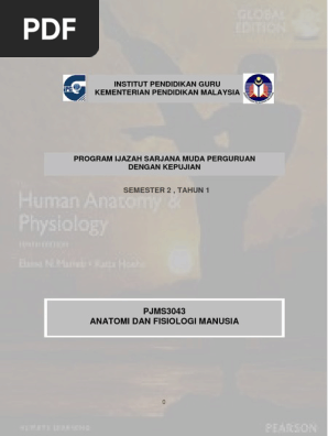 Pjms3043 Anatomi Fisiologi Manusia Pdf Pdf