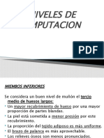 PPW3 NIVELES DE AMPUTACION