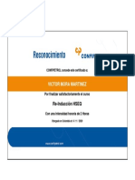 Certificado Oficial - Re-Induccin HSEQ