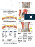 CH 2 - Maternal Anatomy