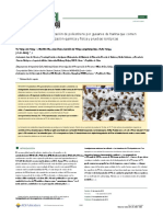 Biodegradation and Mineralization of Pol