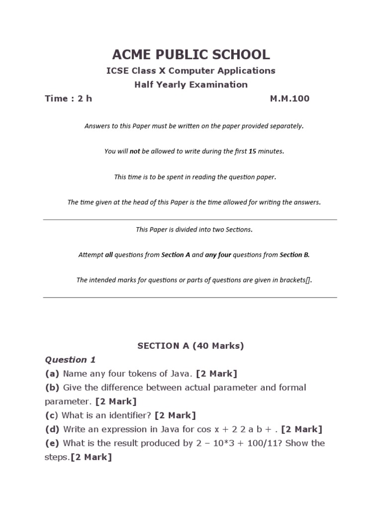 Computer Application (X) PDF Parameter Programming