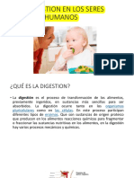 La Digestion PDF