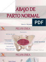 Trabajo de Parto Normal