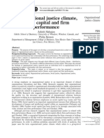 Organisational Justice Climate, Social Capital and Firm Performance