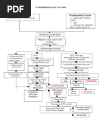 COPD PATHOPHYSIOLOGY Diagram | PDF | Lung | Clinical Medicine