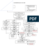 Streptococcus Pneumonae: Pathophysiology of Copd