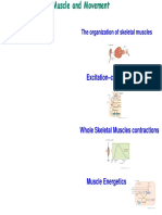 Muscle PDF