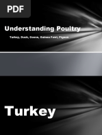 Chicken Cuts and Anatomy Guide | PDF | Chicken | Poultry
