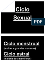 Ciclo sexual