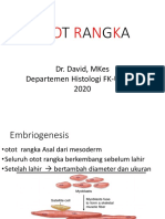 Overview Otot Rangka PDF