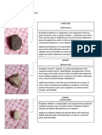 Properties of Common Rock Types