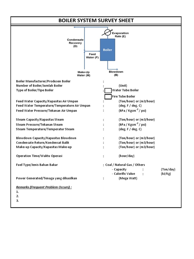 Boiler System Survey Sheet Complete PDF | PDF | Boiler | Steam