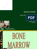 Skeletal 1 B