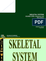 Skeletal 3