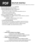 TESUTURI VEGETALE