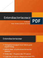 Enterobacteriaceace