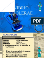 Vibrio Cholera