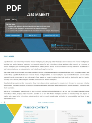 Global Bicycle Market Growth Trends And Forecast 2020 2025 Pdf Market Economics Cycling Infrastructure