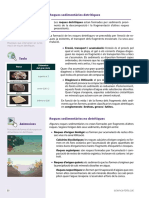 Unitat 1.22 (Roques Sedimentàries) PDF