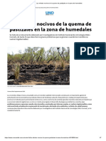 Los Efectos Nocivos de La Quema de Pastizales en La Zona de Humedales PDF