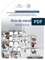 2-DIRECTOR_PRIMARIA.pdf