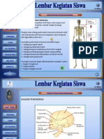 Lks Sistem Gerak