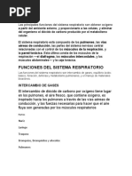Sistema respiratorio