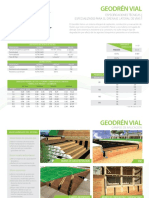 Geodren Vial PDF