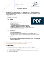Impuestos en Peru_2011.pdf