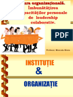 2-Cultura Organizationala