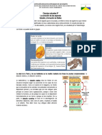 9º Biologia 2 Guia de 3 Periodo