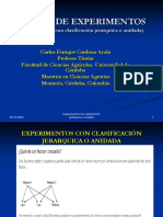 Diapositivas Diseños anidados.pdf